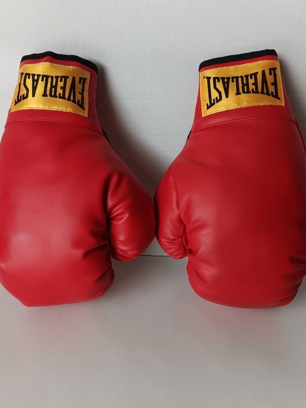 Everlast 14 oz boxing gloves